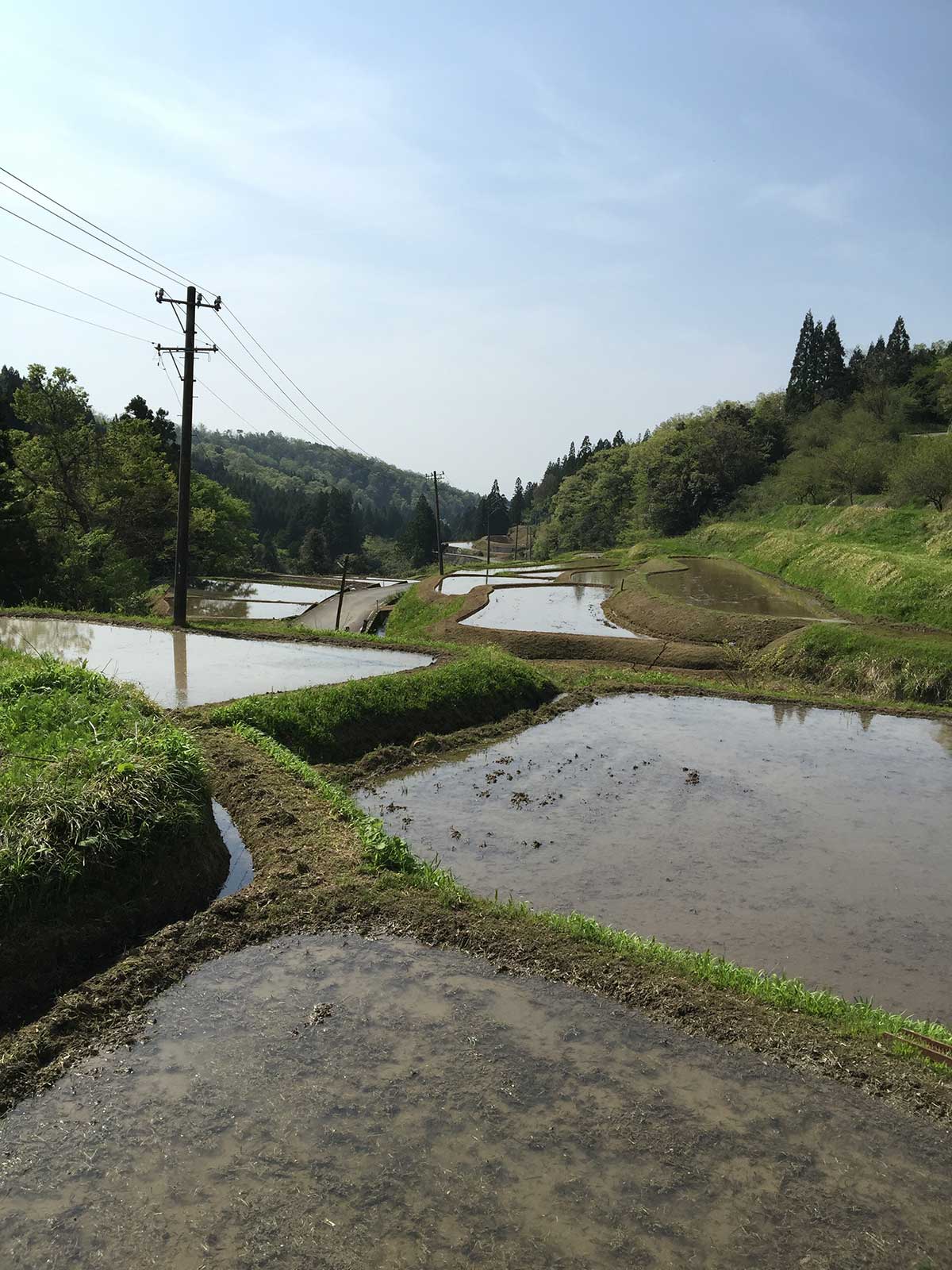 釋永 陽 Yo SHAKUNAGA｜立山町虫谷での暮らし